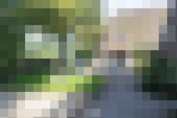 Rollestraat 39 Wapse thumbnail 56
