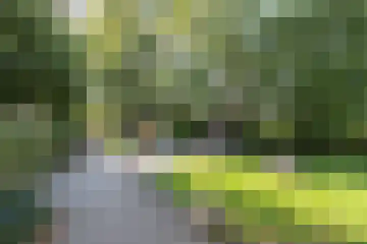 Rollestraat 39 Wapse thumbnail 57