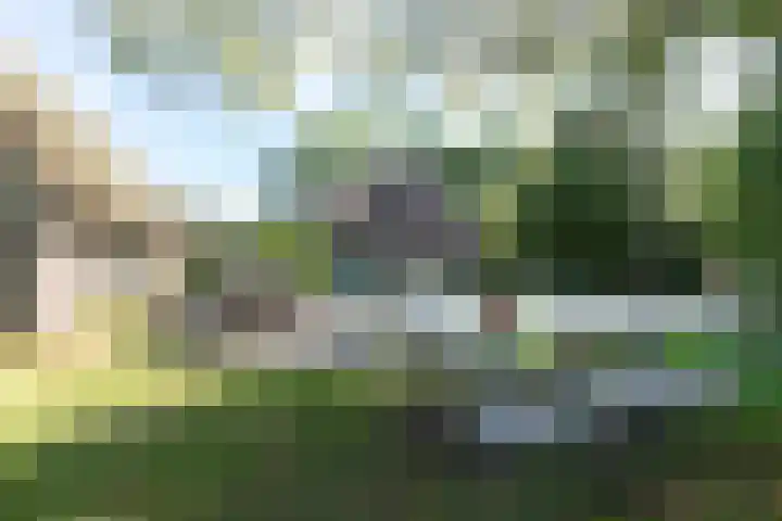 Rollestraat 39 Wapse thumbnail 58