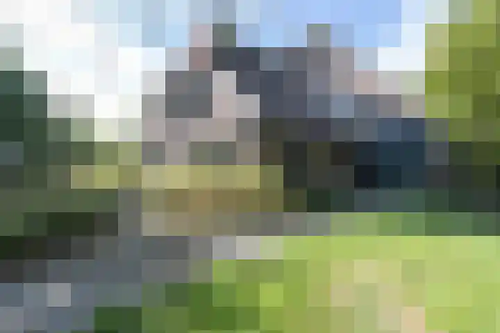Rollestraat 39 Wapse thumbnail 6