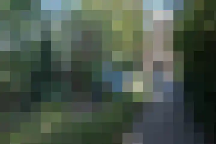 Rollestraat 39 Wapse thumbnail 60
