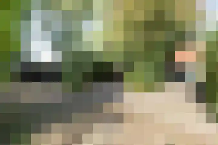 Rollestraat 39 Wapse thumbnail 61