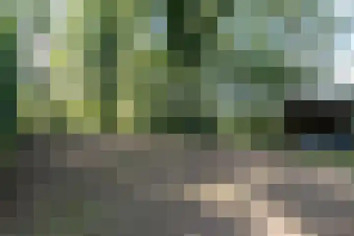 Rollestraat 39 Wapse thumbnail 62
