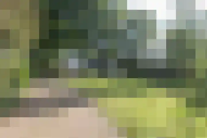 Rollestraat 39 Wapse thumbnail 63