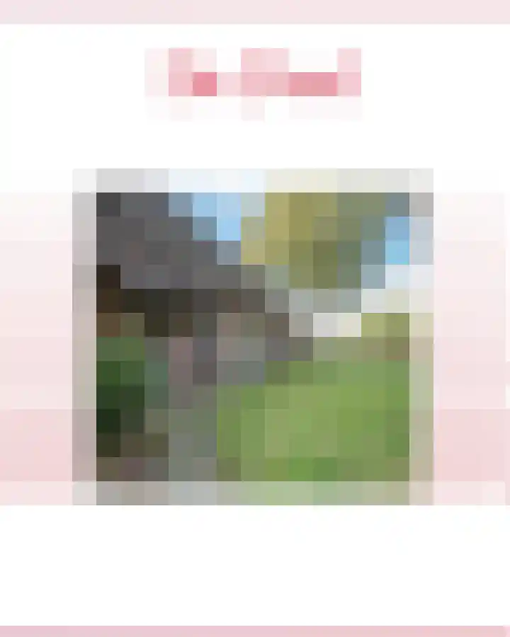 Rollestraat 39 Wapse thumbnail 64