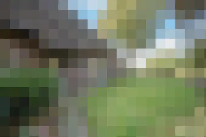 Rollestraat 39 Wapse thumbnail 65