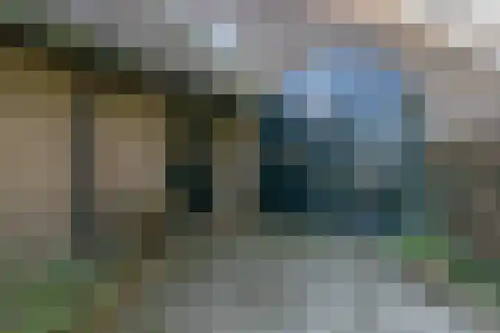 Rollestraat 39 Wapse thumbnail 7