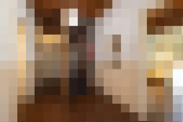 Rollestraat 39 Wapse thumbnail 74