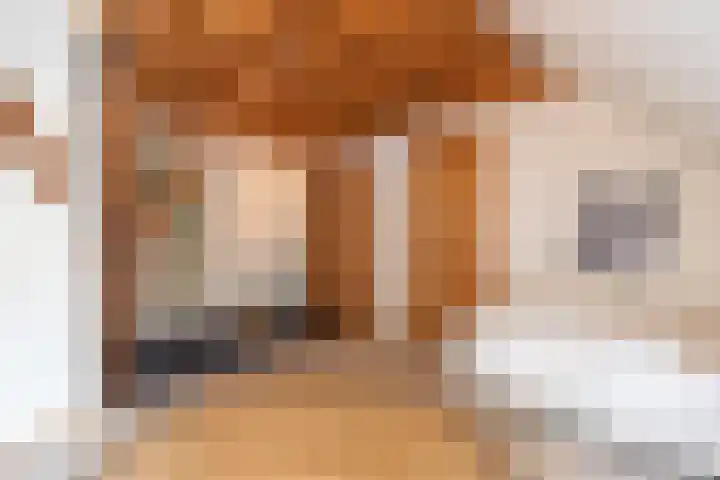 Rollestraat 39 Wapse thumbnail 77