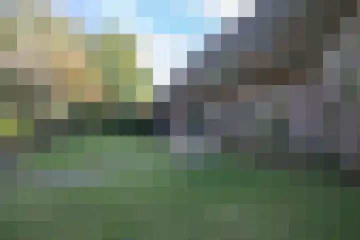 Rollestraat 39 Wapse thumbnail 82