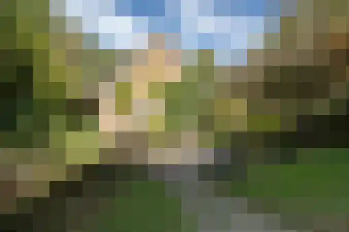 Rollestraat 39 Wapse thumbnail 83
