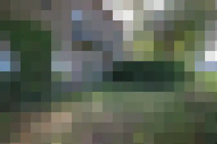 Rollestraat 39 Wapse thumbnail 84