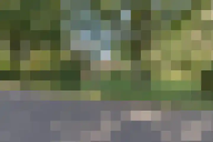 Rollestraat 39 Wapse thumbnail 85