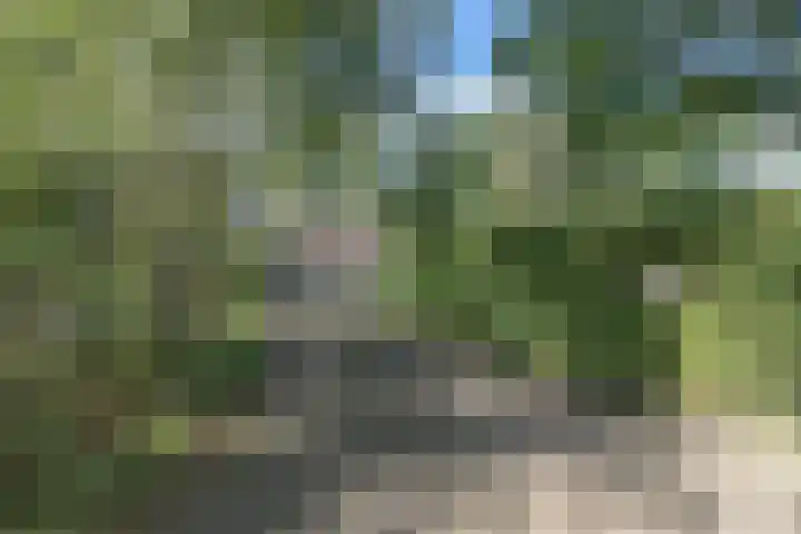 Rollestraat 39 Wapse thumbnail 86