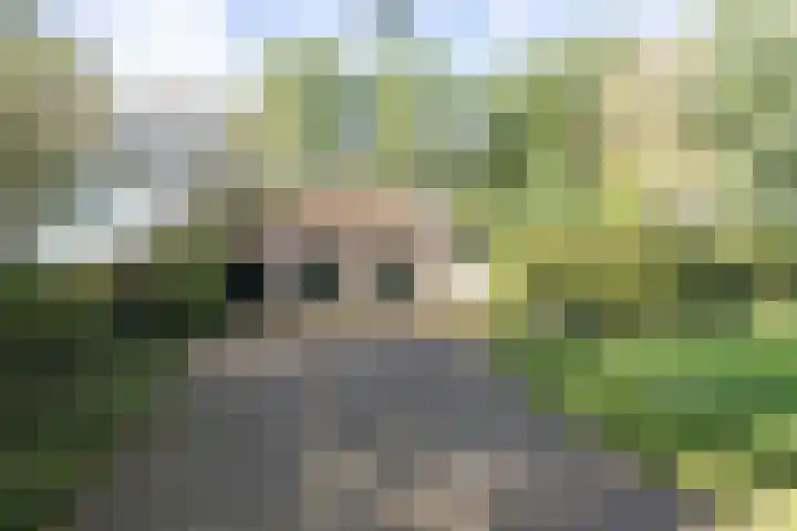 Rollestraat 39 Wapse thumbnail 87