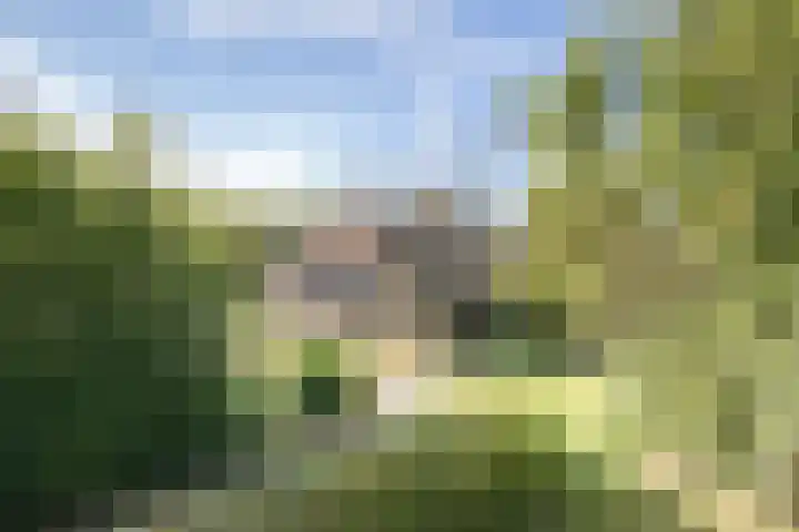 Rollestraat 39 Wapse thumbnail 88
