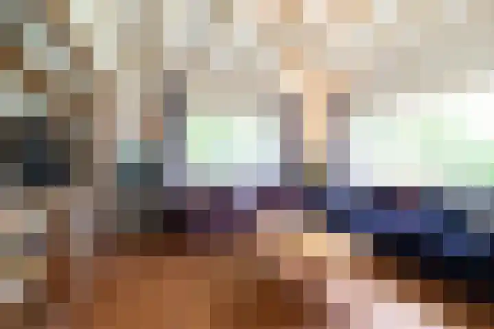 Rollestraat 39 Wapse thumbnail 9
