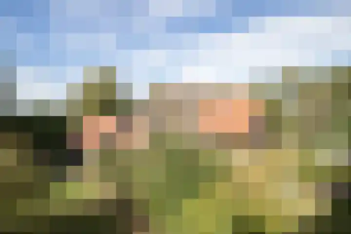 Rollestraat 39 Wapse thumbnail 90