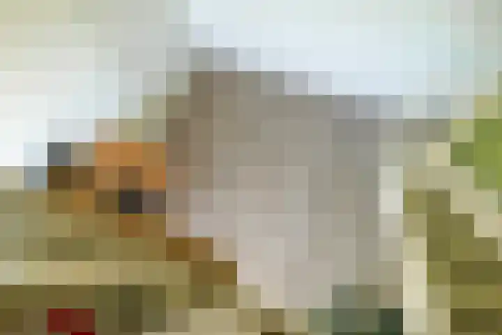 Rolling Stonesstraat 103 Lent thumbnail 33