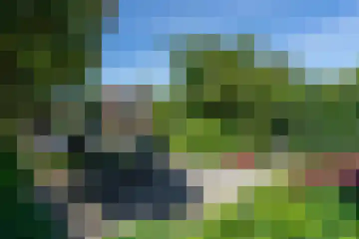 Rolling Stonesstraat 103 Lent thumbnail 40