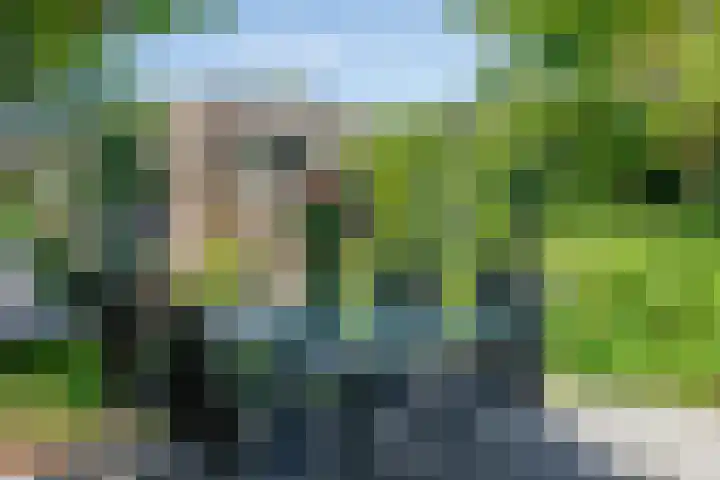 Rolling Stonesstraat 103 Lent thumbnail 41
