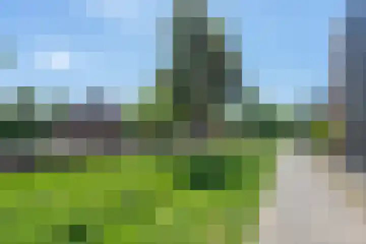 Rolling Stonesstraat 103 Lent thumbnail 57