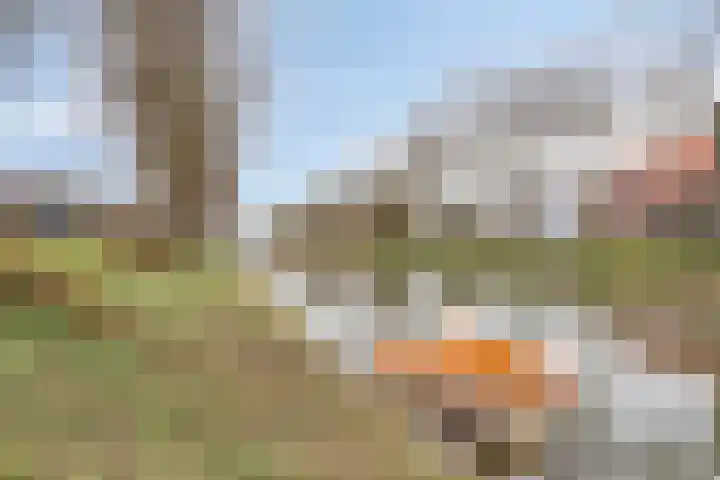 Romanusweg 14 De Meern thumbnail 30