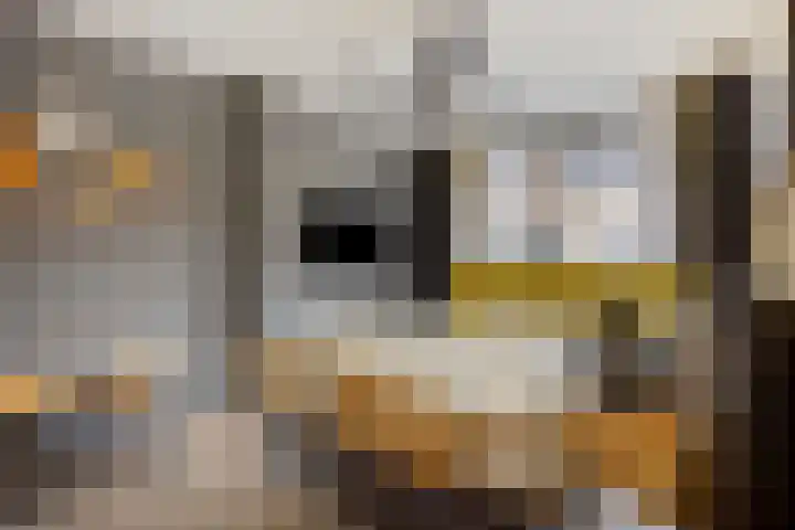 Romanusweg 14 De Meern thumbnail 9