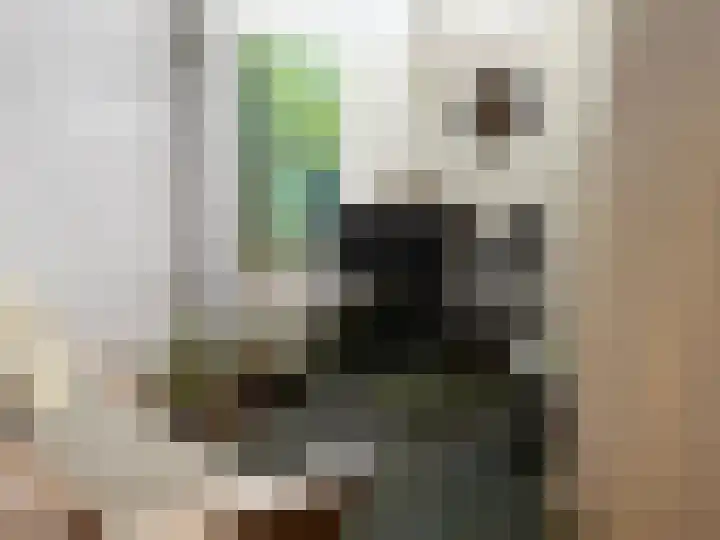 Romboutsstraat 2 Made