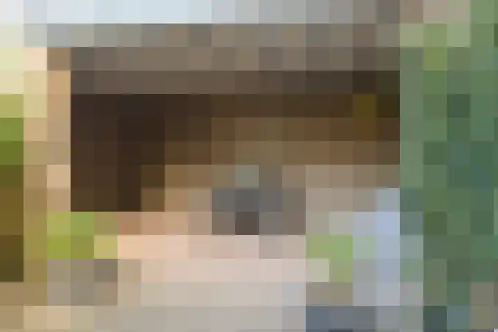 Romboutsstraat 2 Made thumbnail 23
