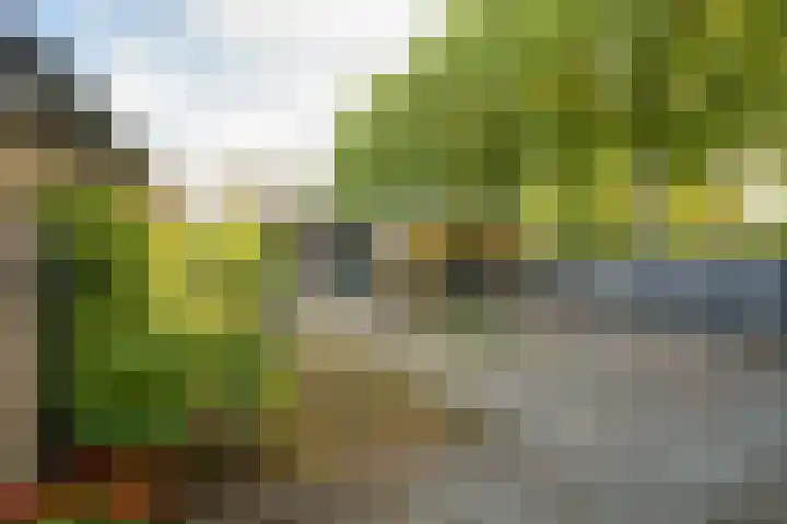 Romboutsstraat 2 Made thumbnail 24