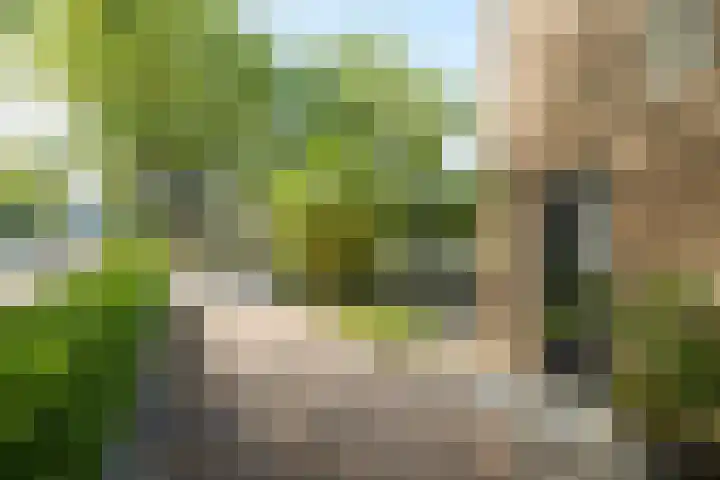 Romboutsstraat 2 Made thumbnail 7