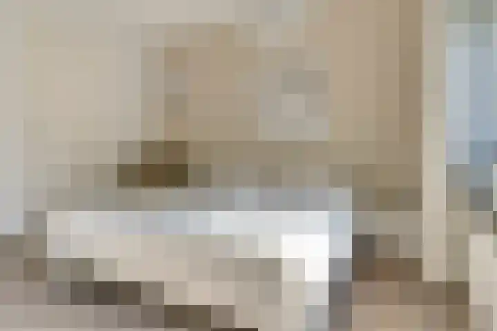 Romein 10 Elst thumbnail 19