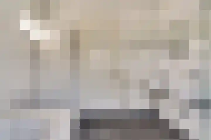 Romein 10 Elst thumbnail 22