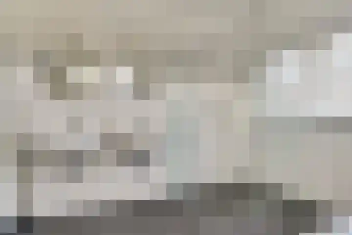 Romein 10 Elst thumbnail 23