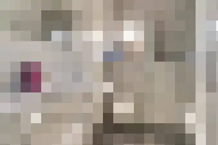 Romein 10 Elst thumbnail 28