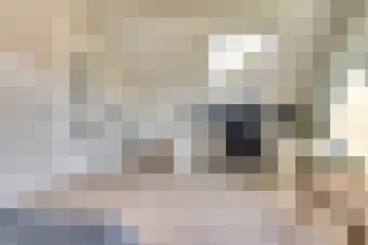 Romein 10 Elst thumbnail 30