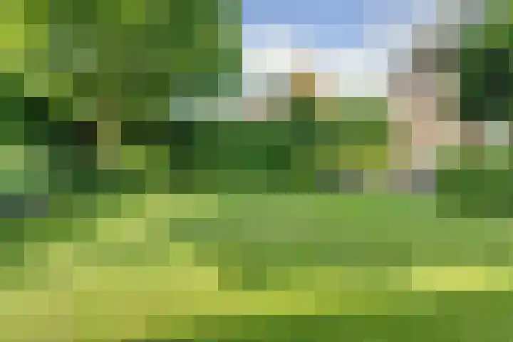 Romein 10 Elst thumbnail 34