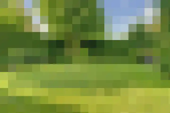 Romein 10 Elst thumbnail 35