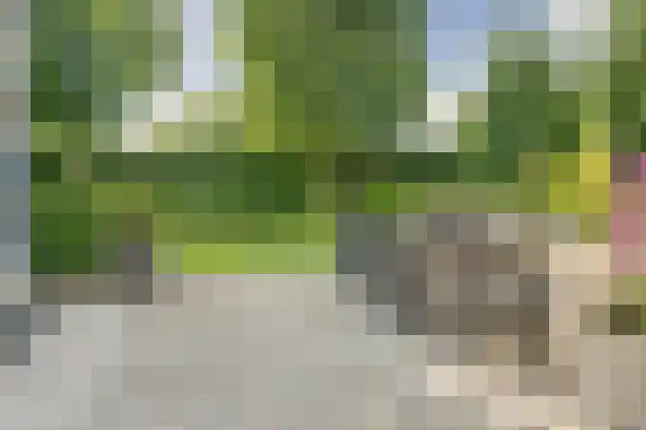 Romein 10 Elst thumbnail 37