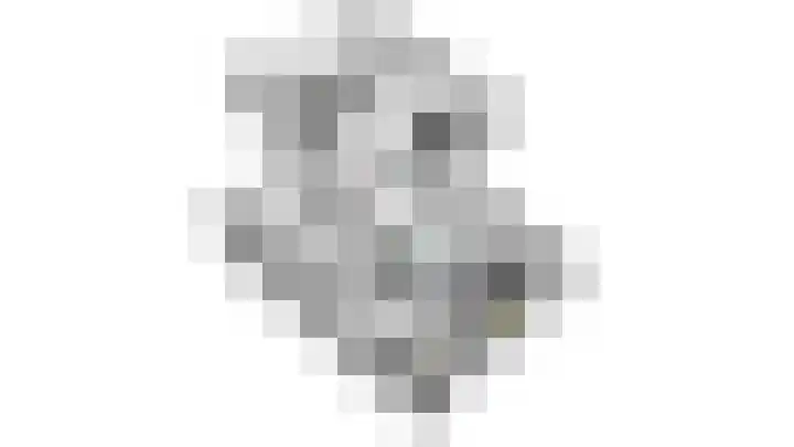 Romein 10 Elst thumbnail 45