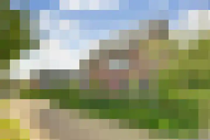 Romein 10 Elst thumbnail 50