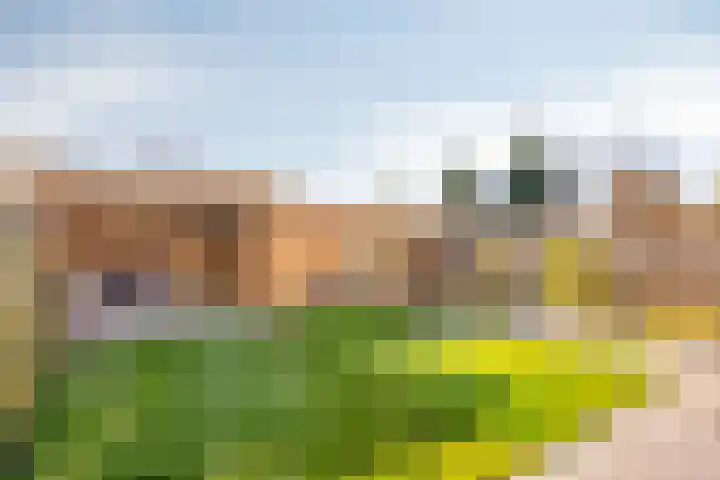 Romeinenstraat 15 Weert thumbnail 42