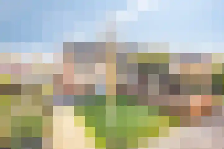 Romeinenstraat 15 Weert thumbnail 6