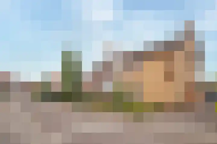 Romeinenstraat 3 Stein thumbnail 22