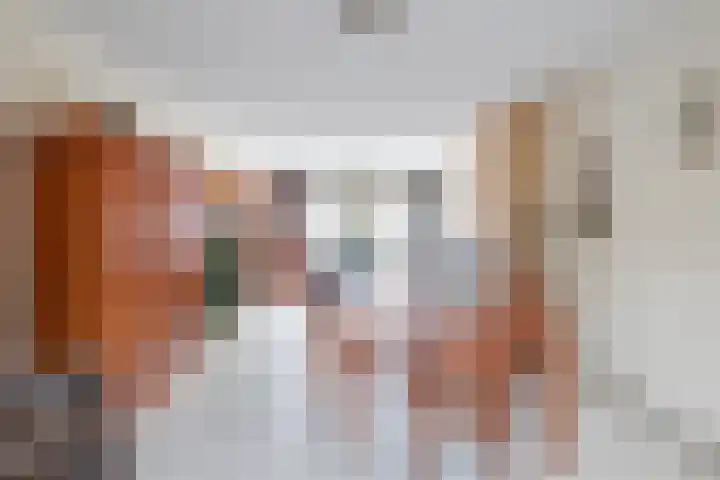 Romeinenstraat 3 Stein thumbnail 6