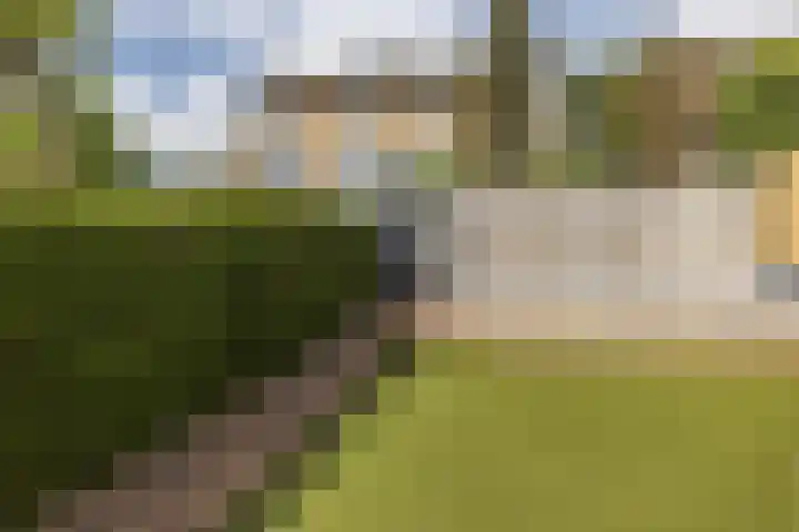 Romeinenstraat 38 Simpelveld thumbnail 20