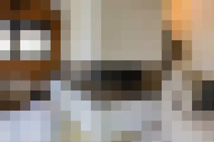 Romeinenstraat 8 Haarlem thumbnail 37