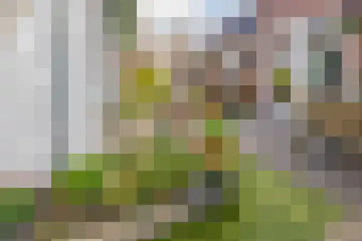 Romeinenstraat 8 Haarlem thumbnail 47