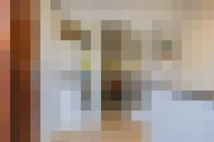 Romeinenstraat 8 Haarlem thumbnail 9